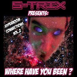 Cover of Where Have You Been ? (Hyperroom Connections, Vol. 2)