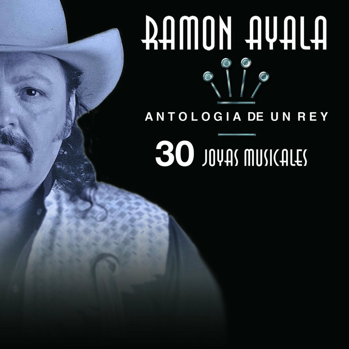 Album picture of Antología De Un Rey - 30 Joyas Musicales