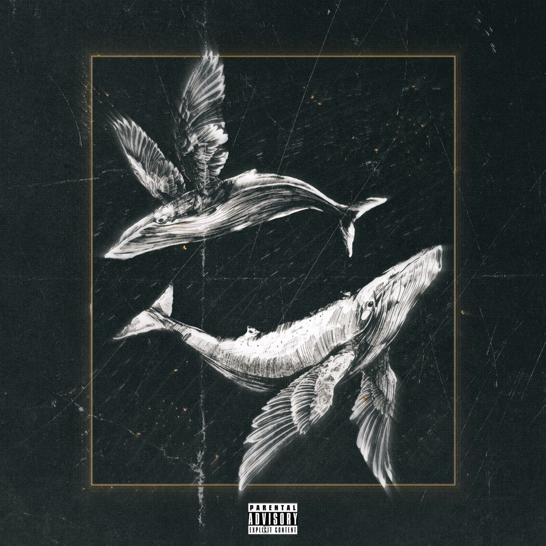 Album cover of Big Fish (feat. ProjectPorter)