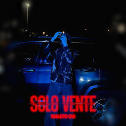 Cover of Solo vente by undefined