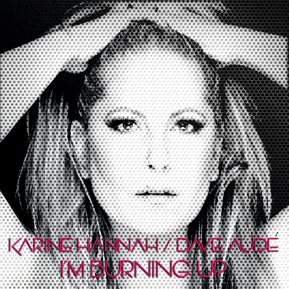 Picture of I'm Burning Up (Remixes 2)