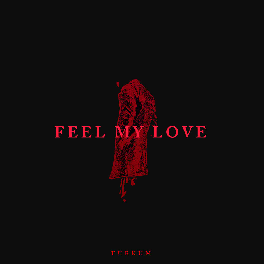 Picture of Feel My Love
