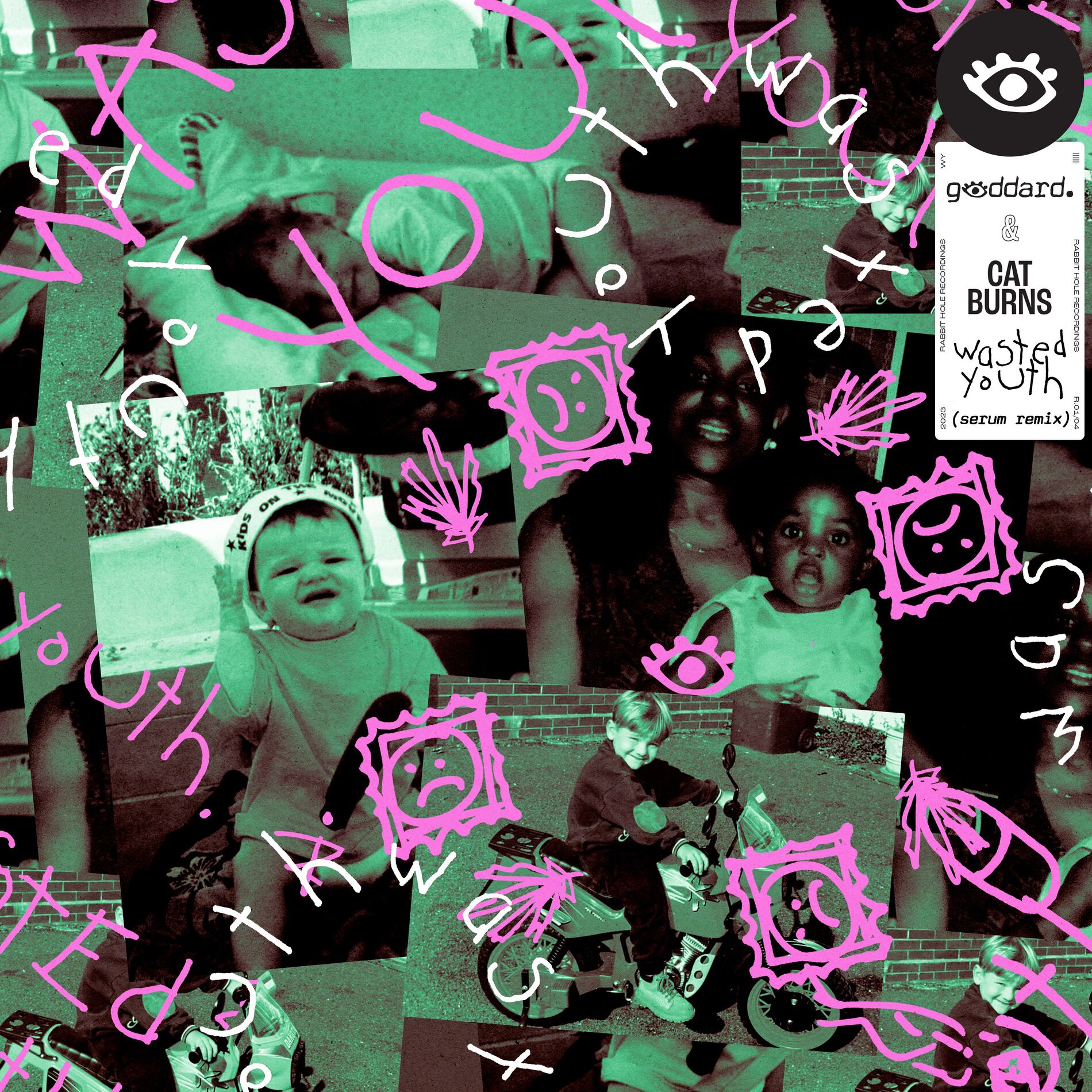 Album cover of Wasted Youth (feat. Cat Burns)