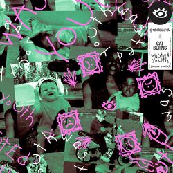 Cover of Wasted Youth (feat. Cat Burns) (Serum Remix)