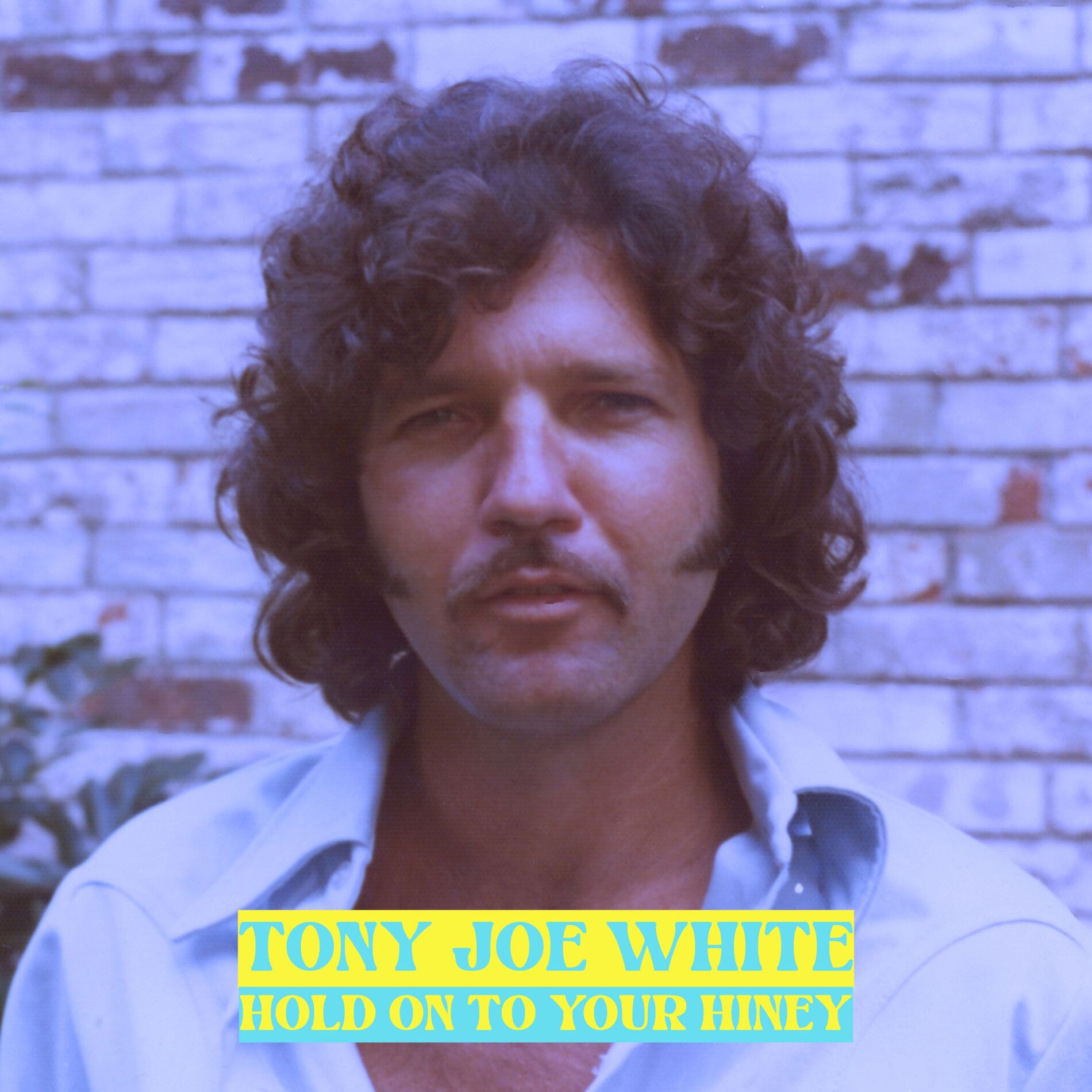 Album cover of Hold on to Your Hiney