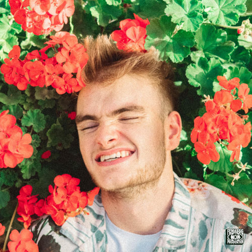 DADDY GERANIUM