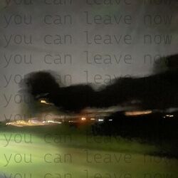 Cover of you can leave my head now thank you