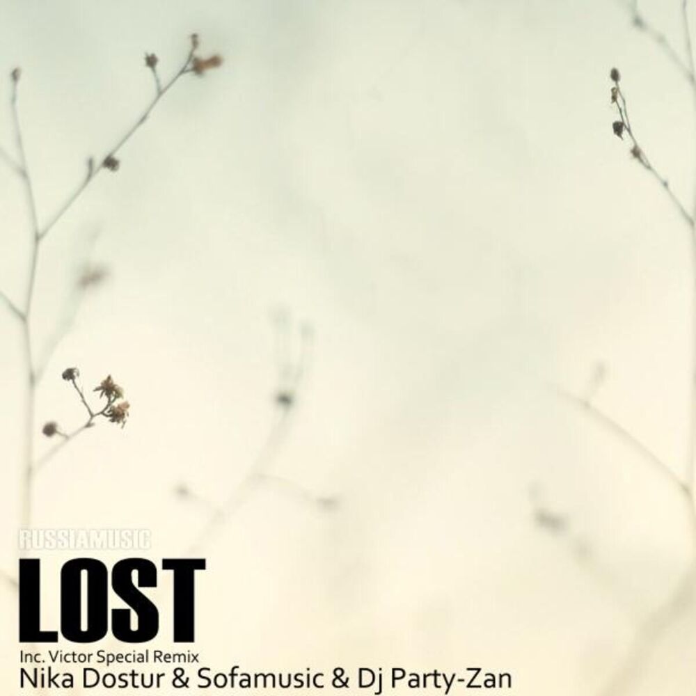 Picture of Lost