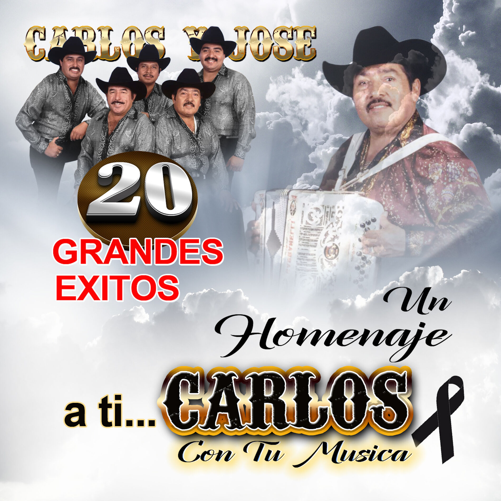 Album cover of 20 Grandes Exitos Un Homenaje A Ti Carlos