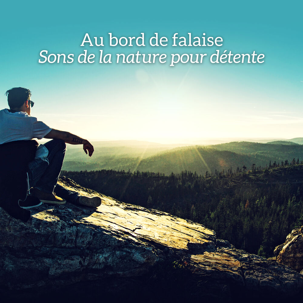 Picture of Au bord de falaise: Sons de la nature pour détente - Musique d'ambiance (L'eau, Vagues, Oiseaux, Forêt)