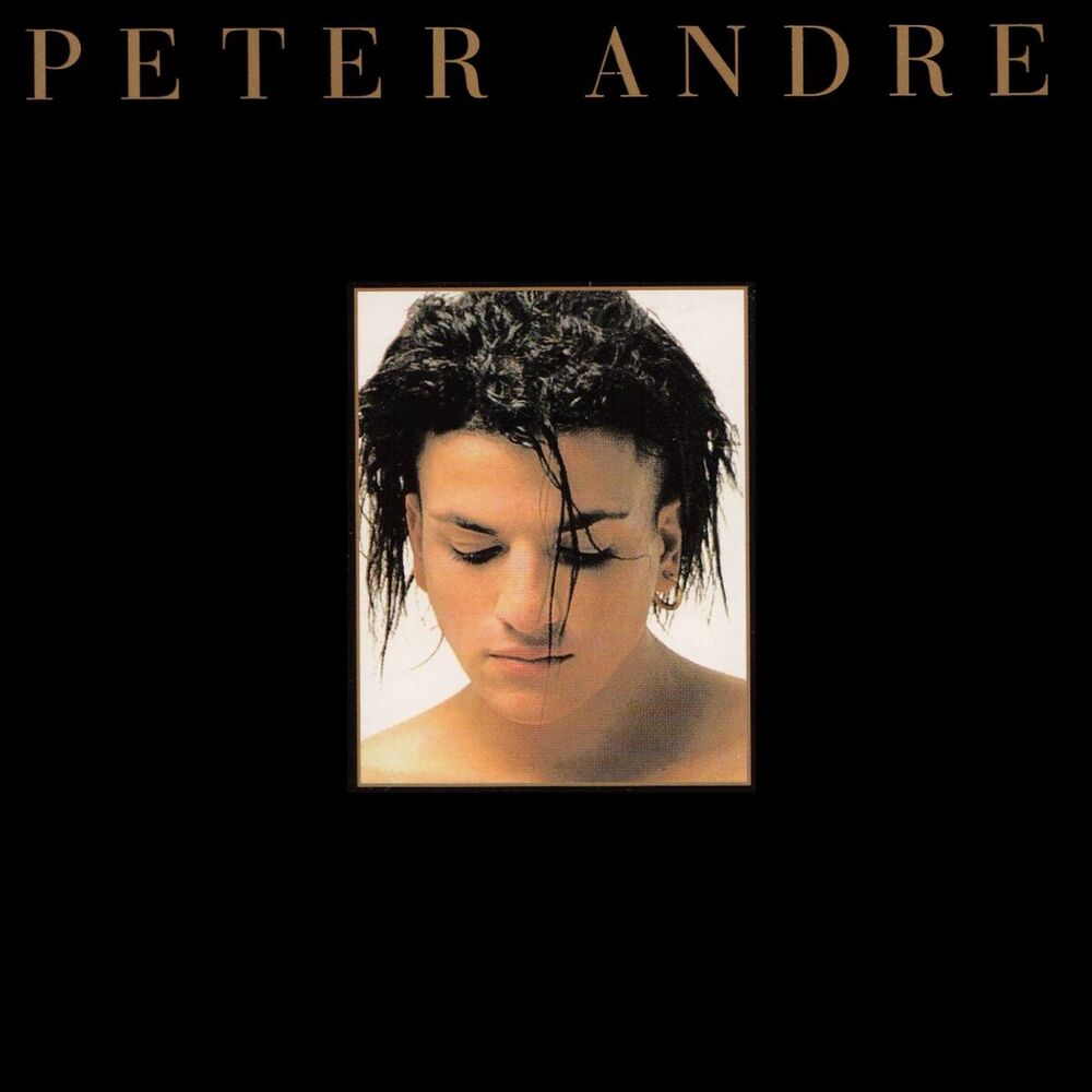 Picture of Peter Andre