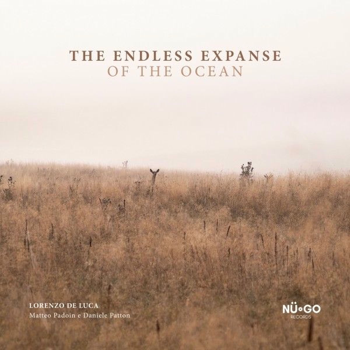 Album cover of The Endless Expanse of the Ocean