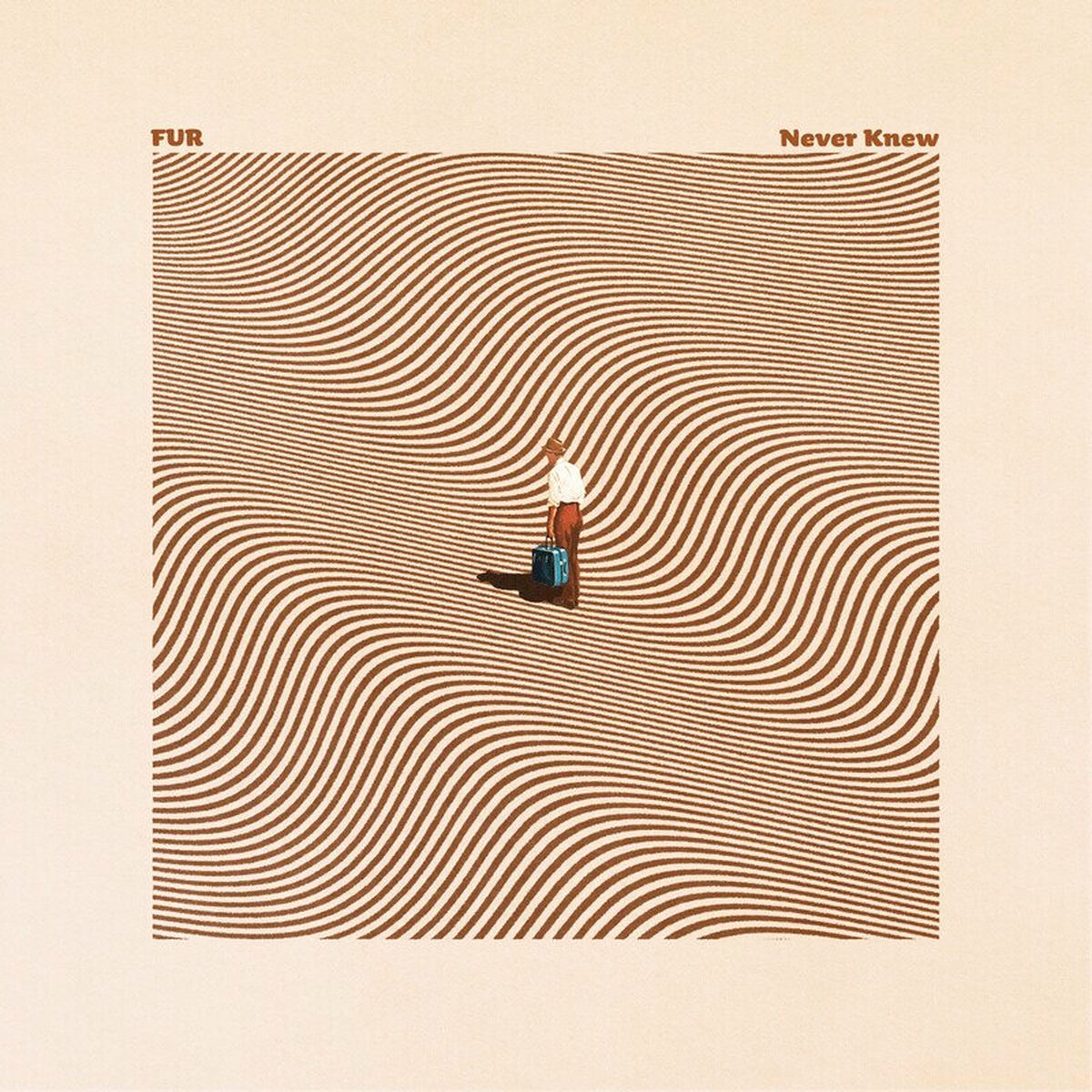 Album cover of Never Knew