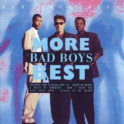 Cover of More Bad Boys Best