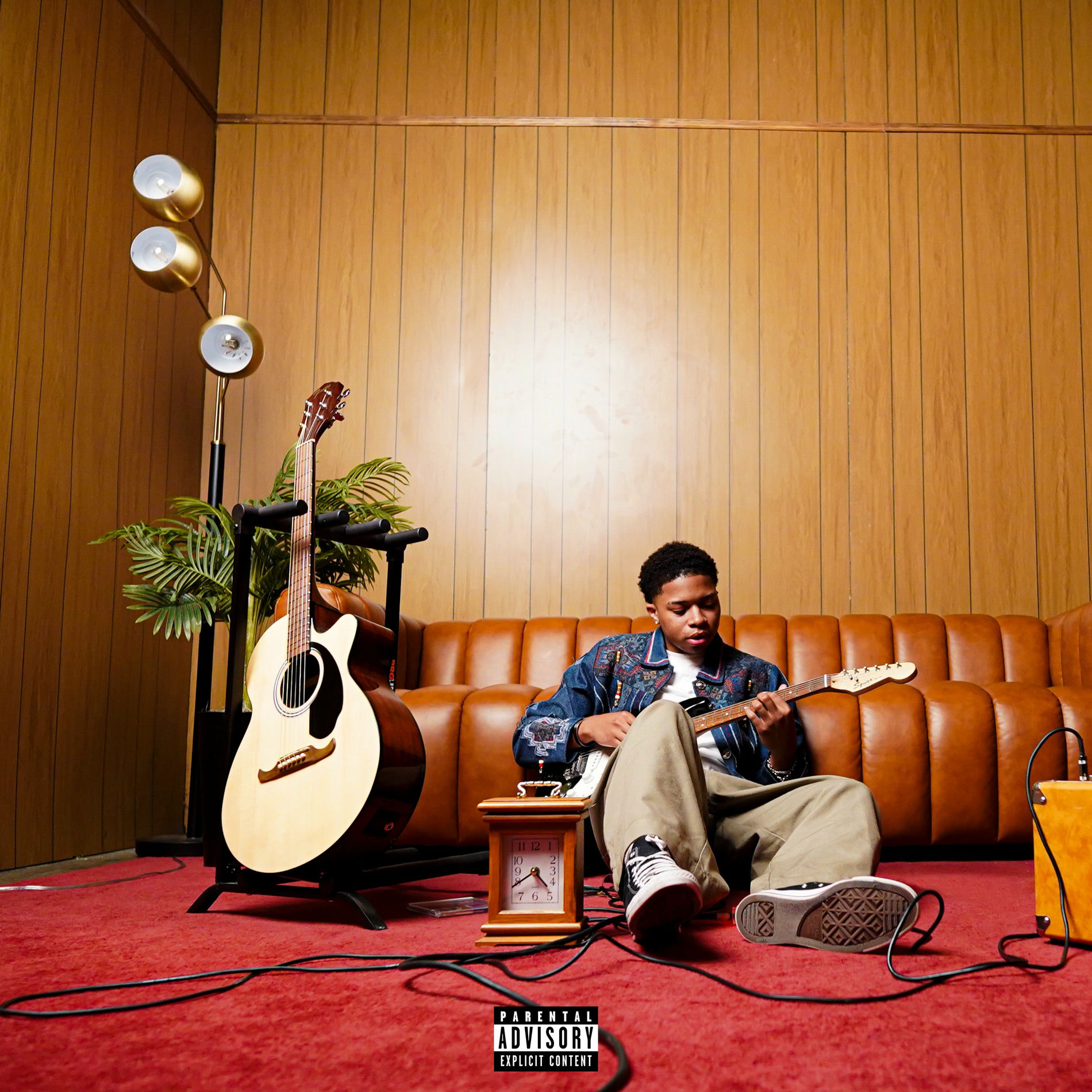 Album cover of anemoia