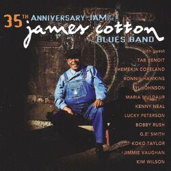 Cover of 35th Anniversary Jam