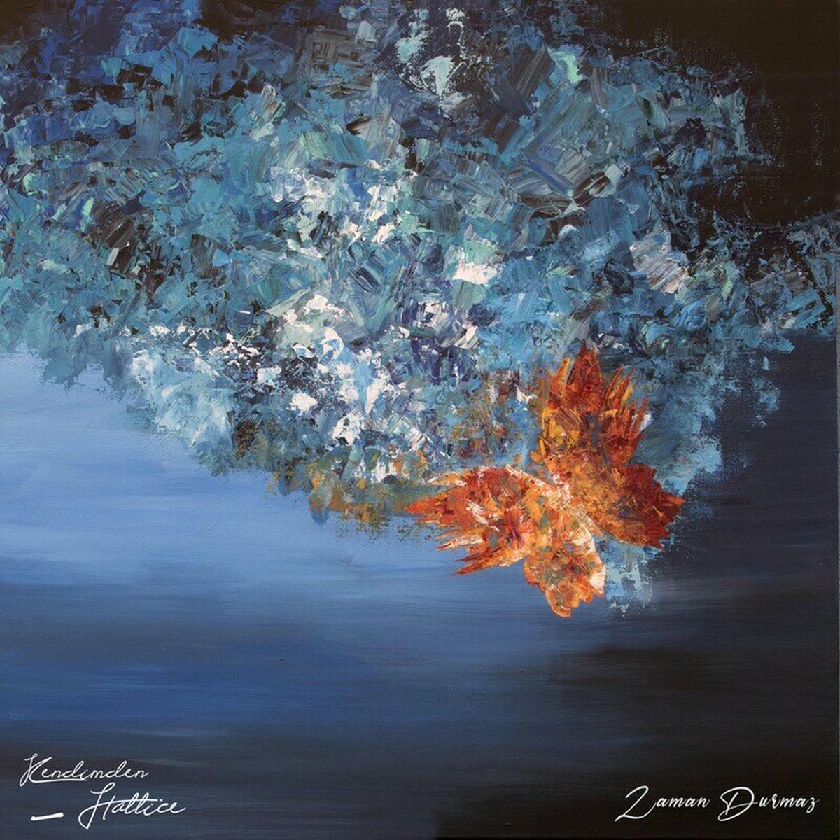 Album cover of Zaman Durmaz