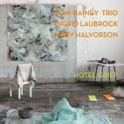 Cover of Hotel Grief