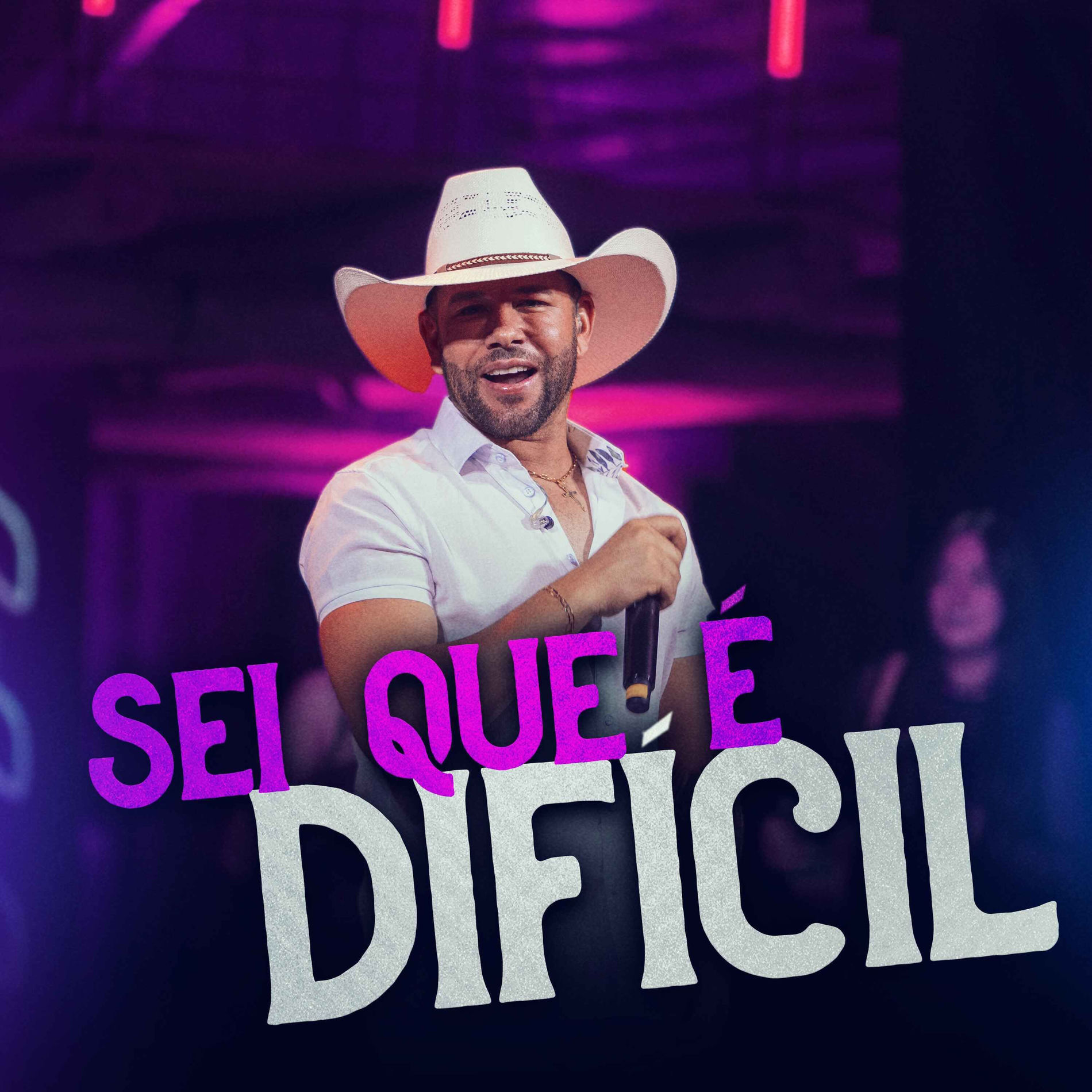 Album cover of Sei que é difícil