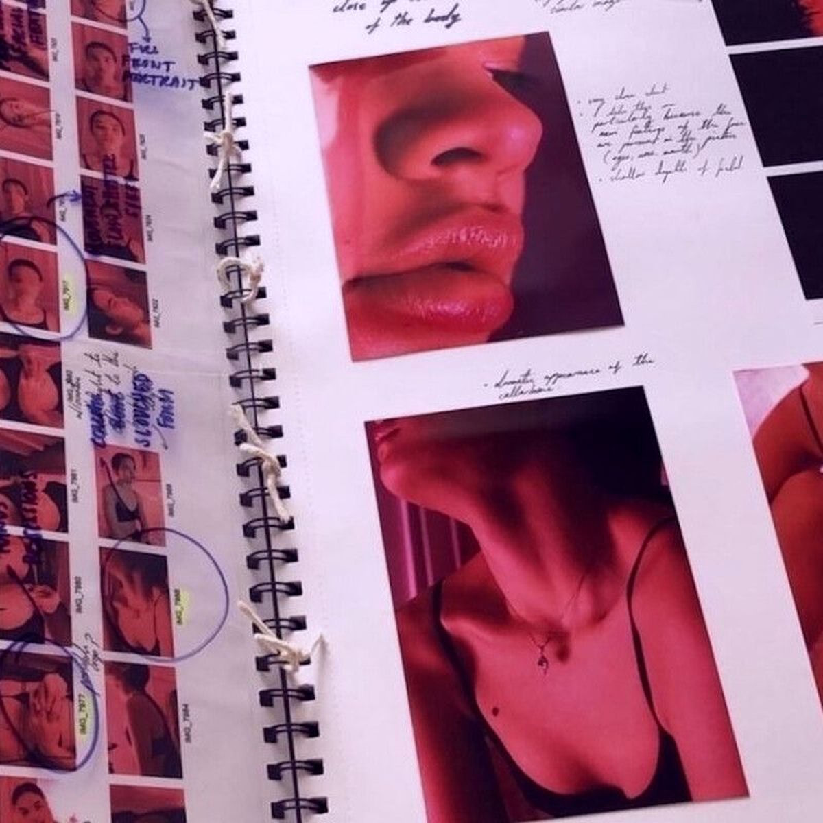 Album cover of Beauty had to lie