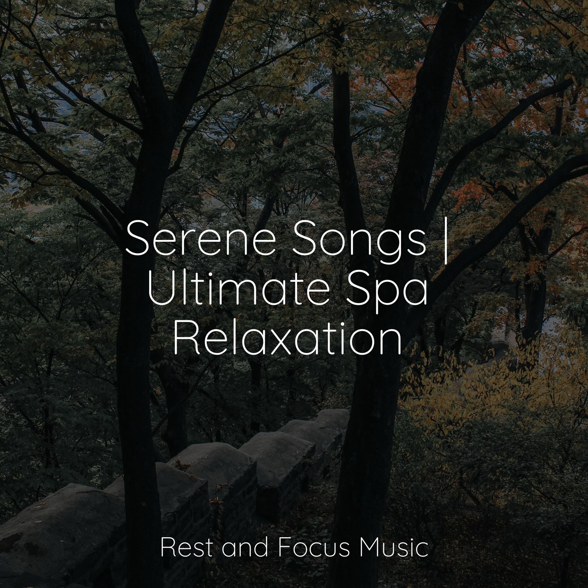 Album cover of Serene Songs | Ultimate Spa Relaxation