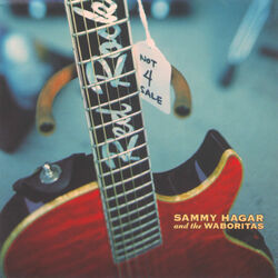 Cover of Not 4 Sale