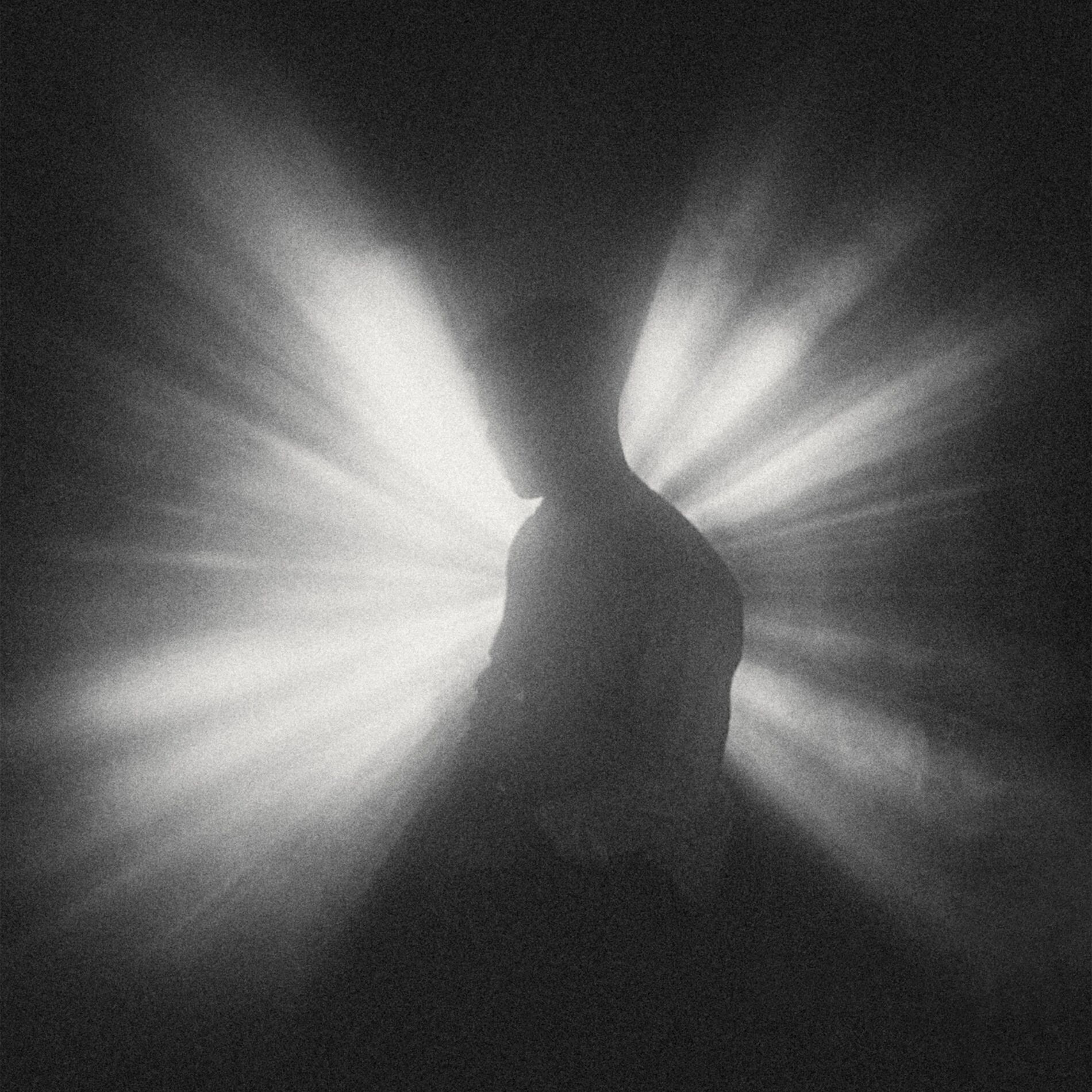 Album cover of Grow