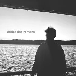 Cover of écrire des romans