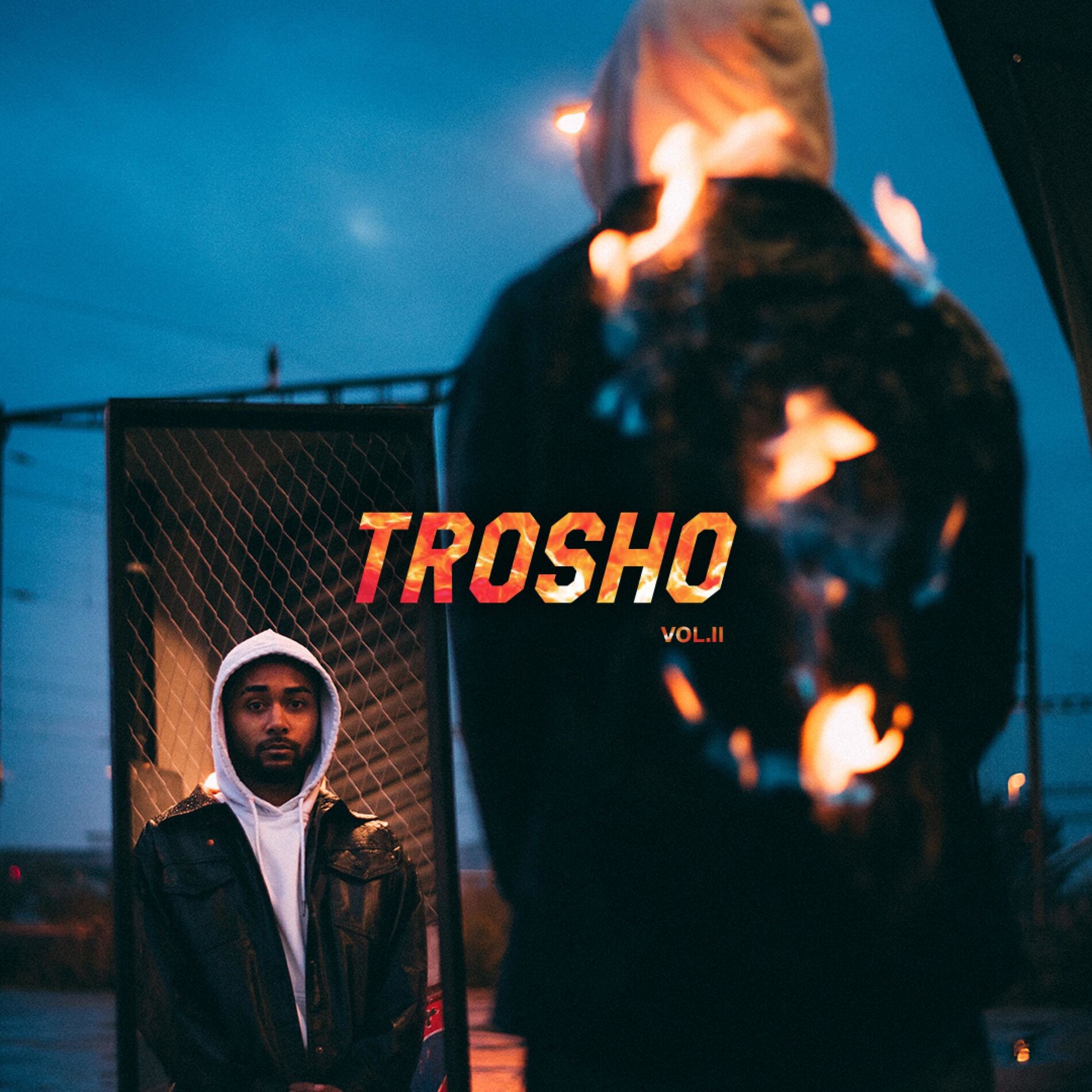 Album cover of Trosho Vol. II