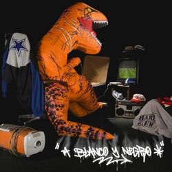 music cover