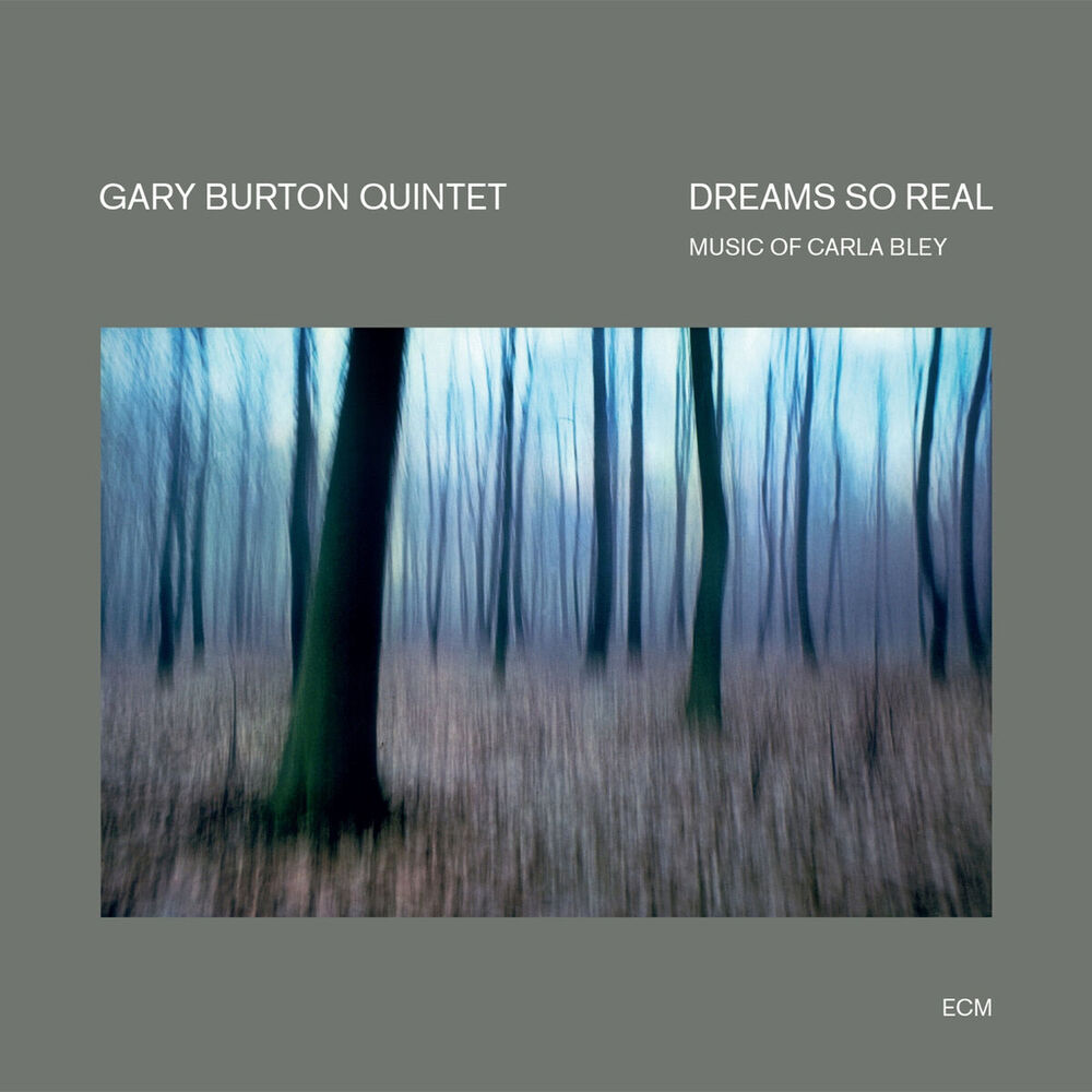 Picture of Dreams So Real - Music Of Carla Bley