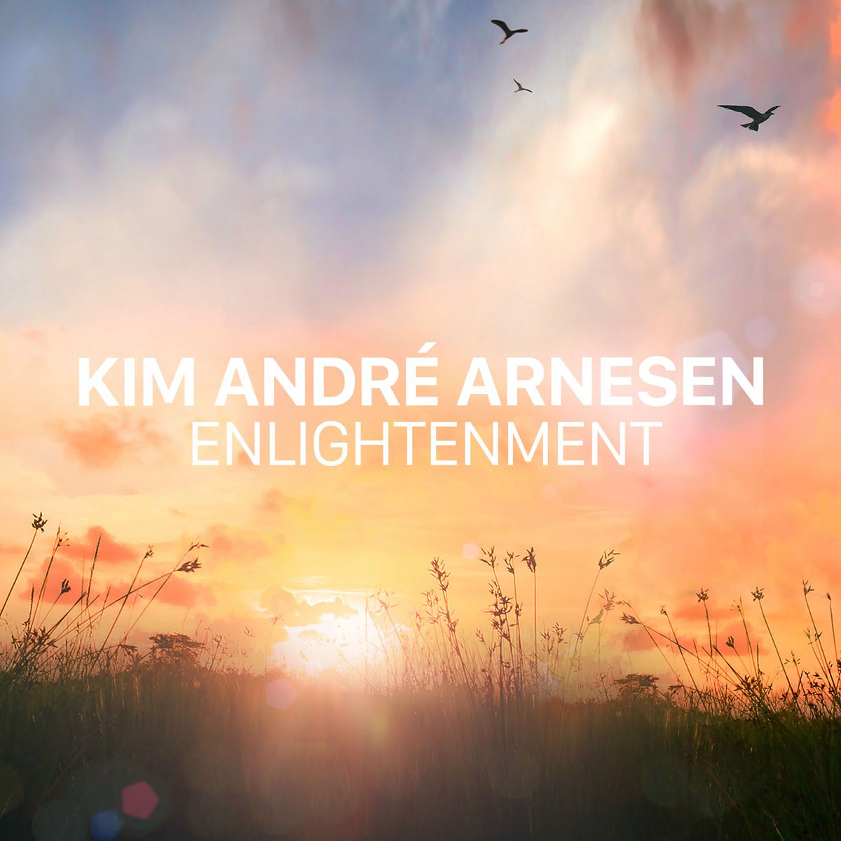 Album cover of Arnesen: Enlightenment