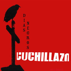 Cover of Días Negros