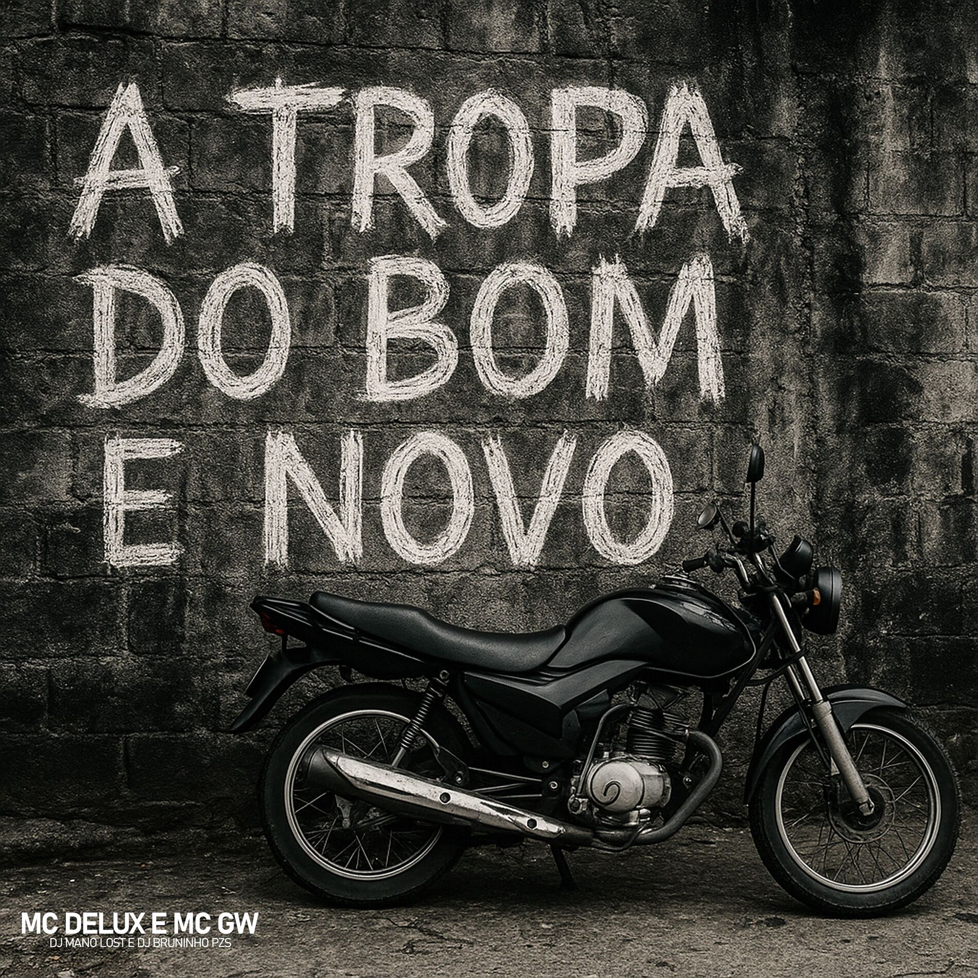 Album cover of A Tropa do Bom e Novo