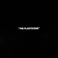The Plastocene