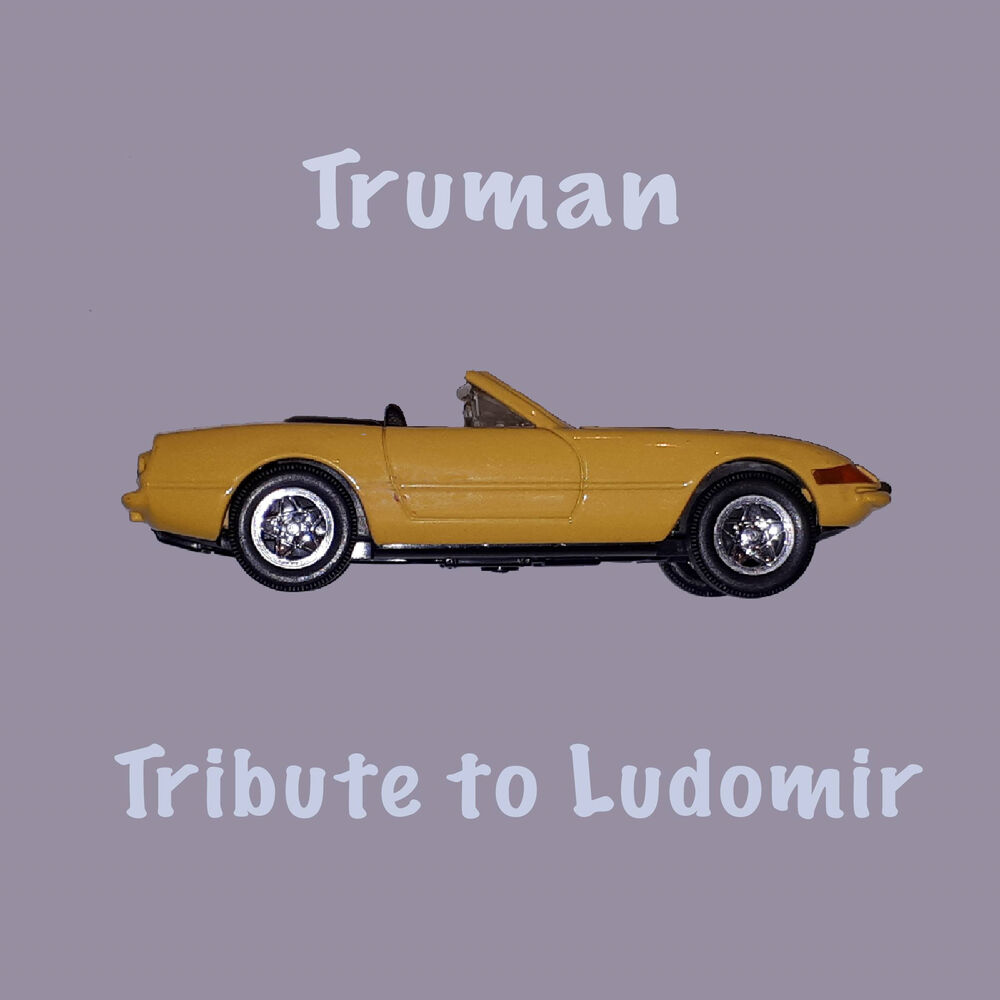 Picture of Tribute to Ludomir