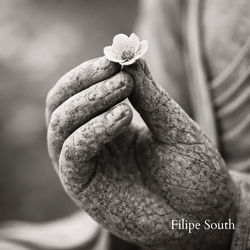Cover of Sabedoria na Quietude by undefined