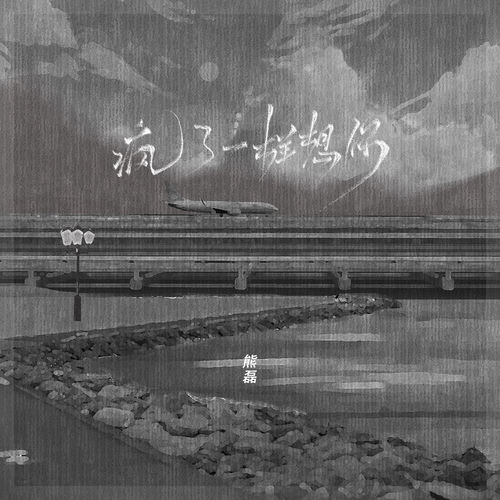 疯了一样想你 (DJ版)