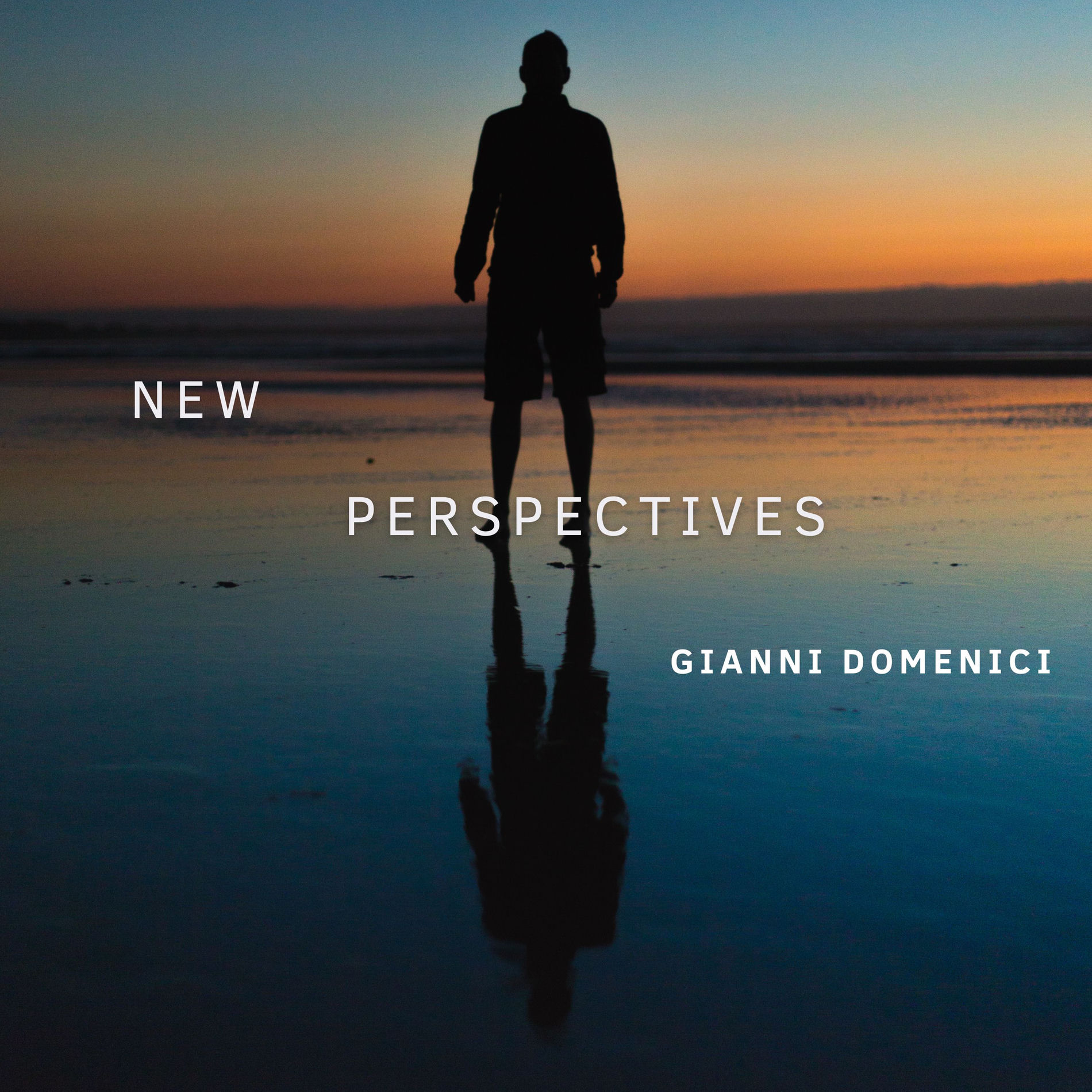 Album cover of New Perspectives