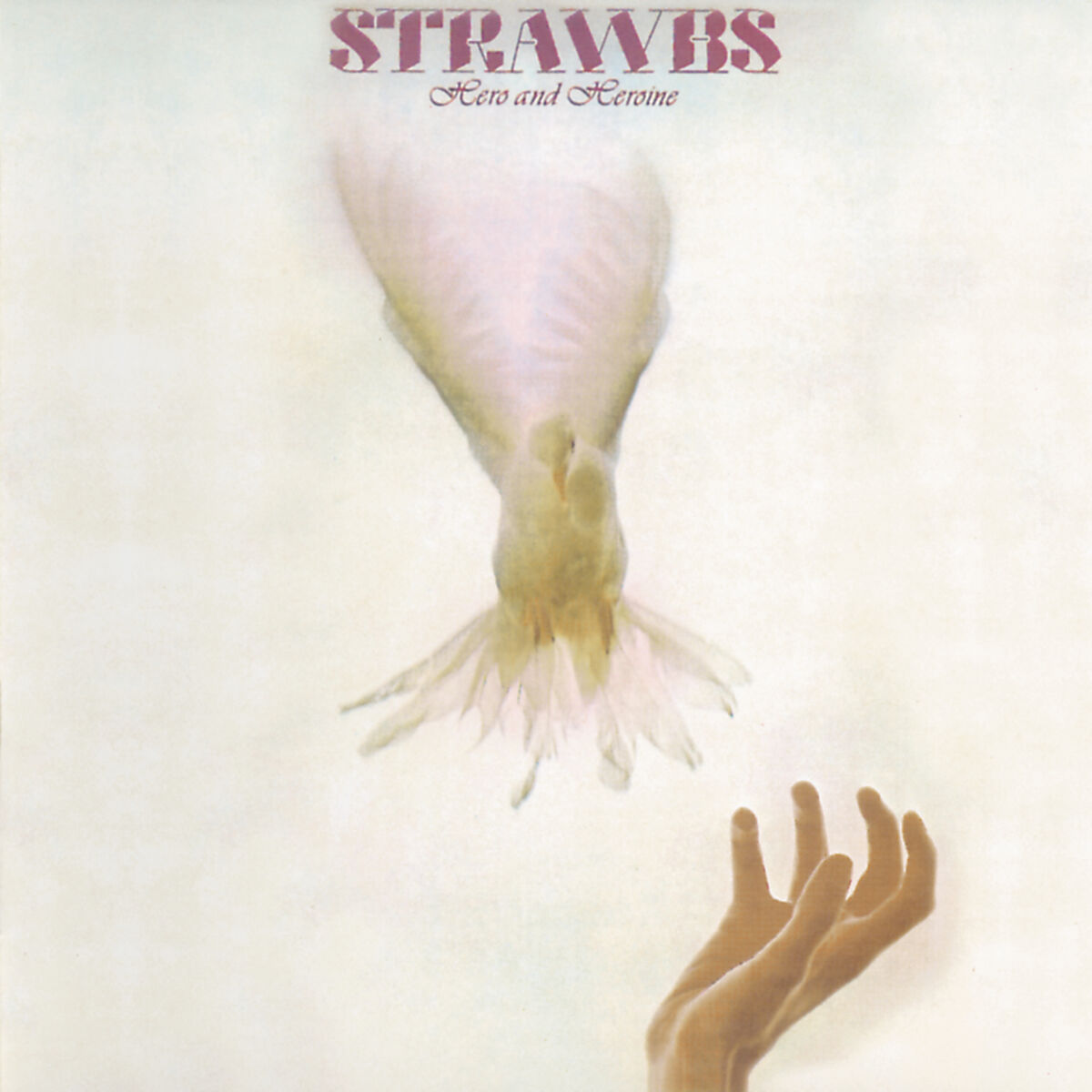 Album cover of Hero's Theme