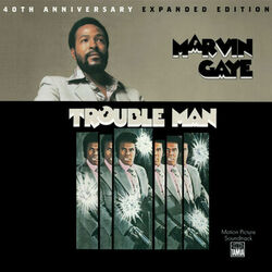 Cover of Trouble Man: 40th Anniversary Expanded Edition