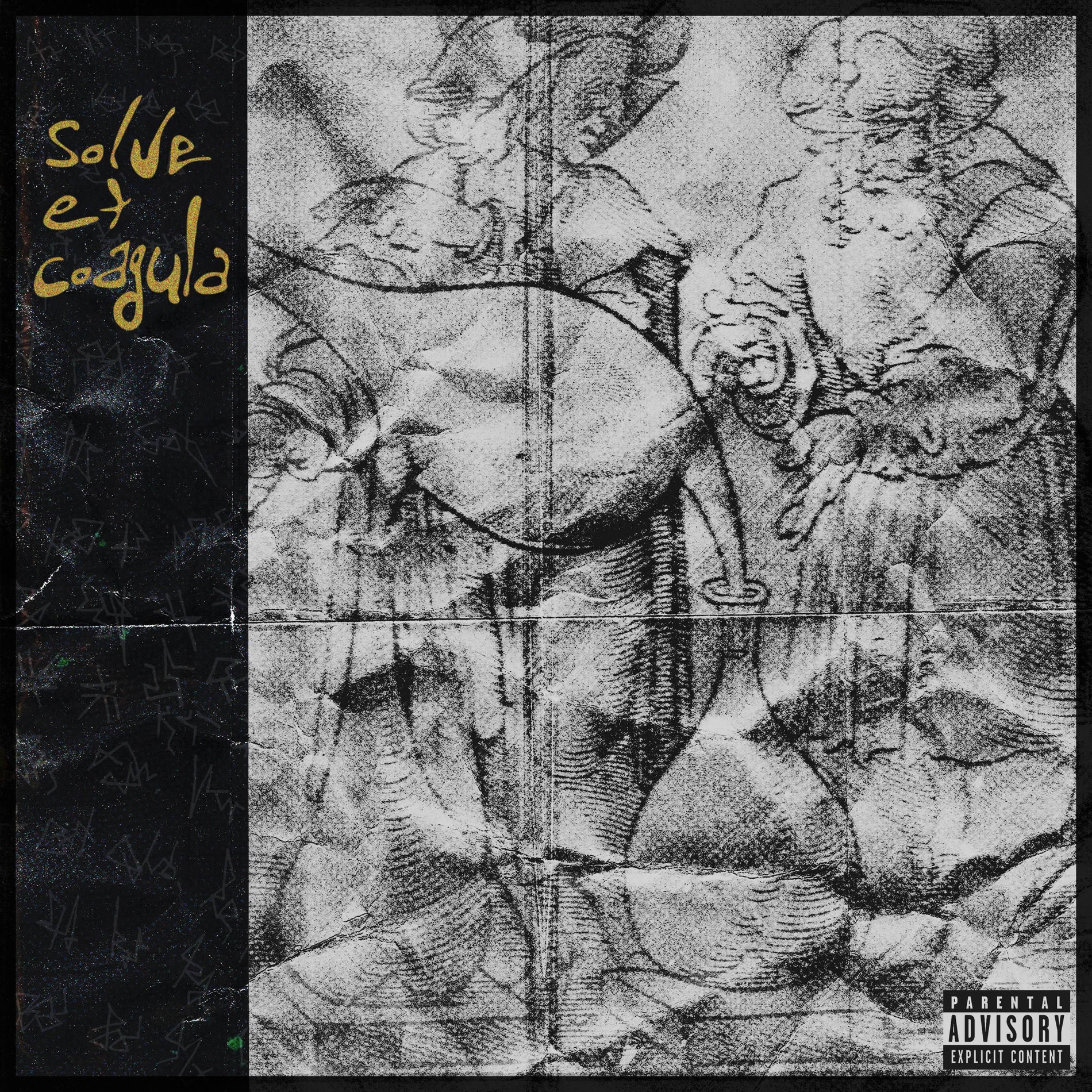 Album cover of Solve et Coagula