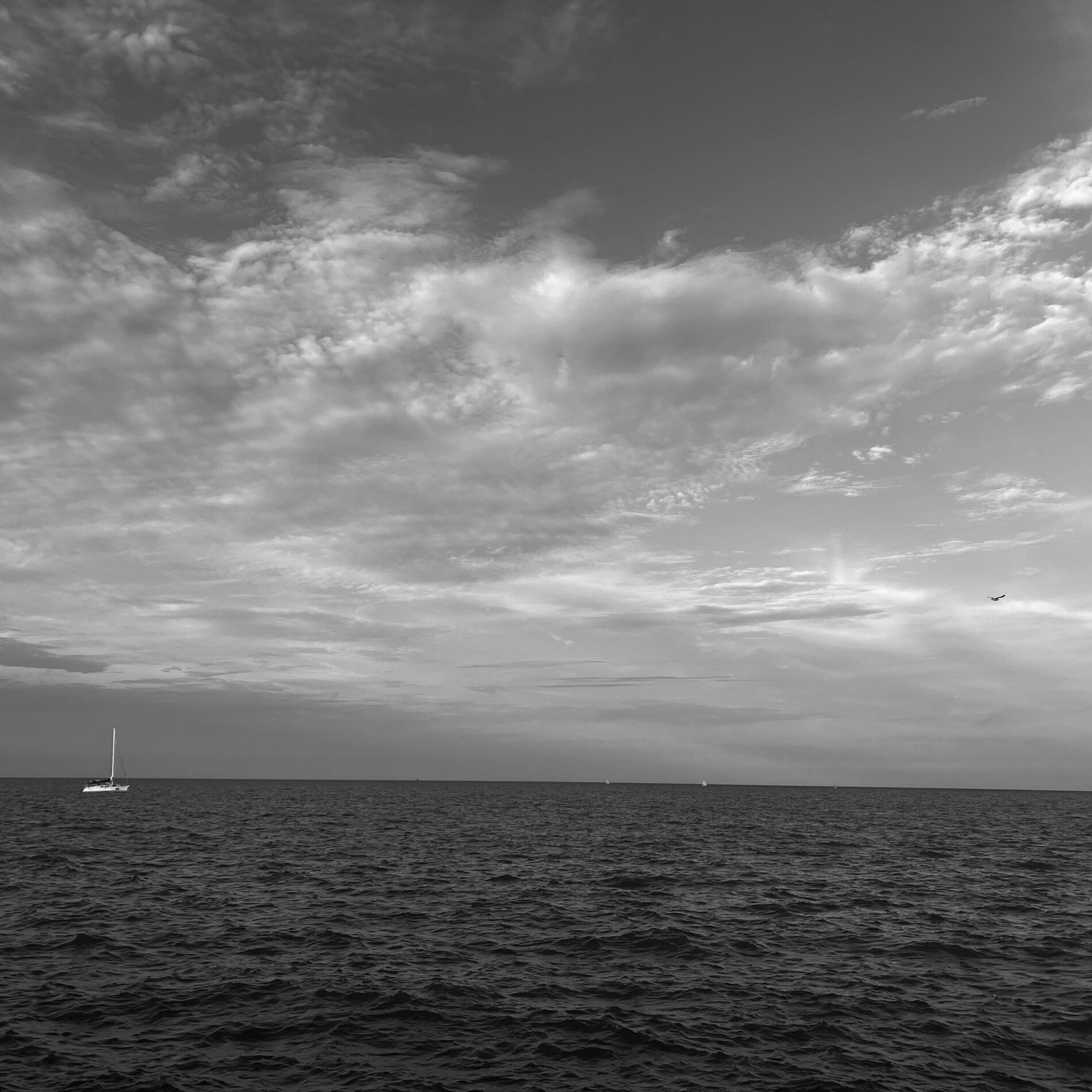 Album cover of Canvas