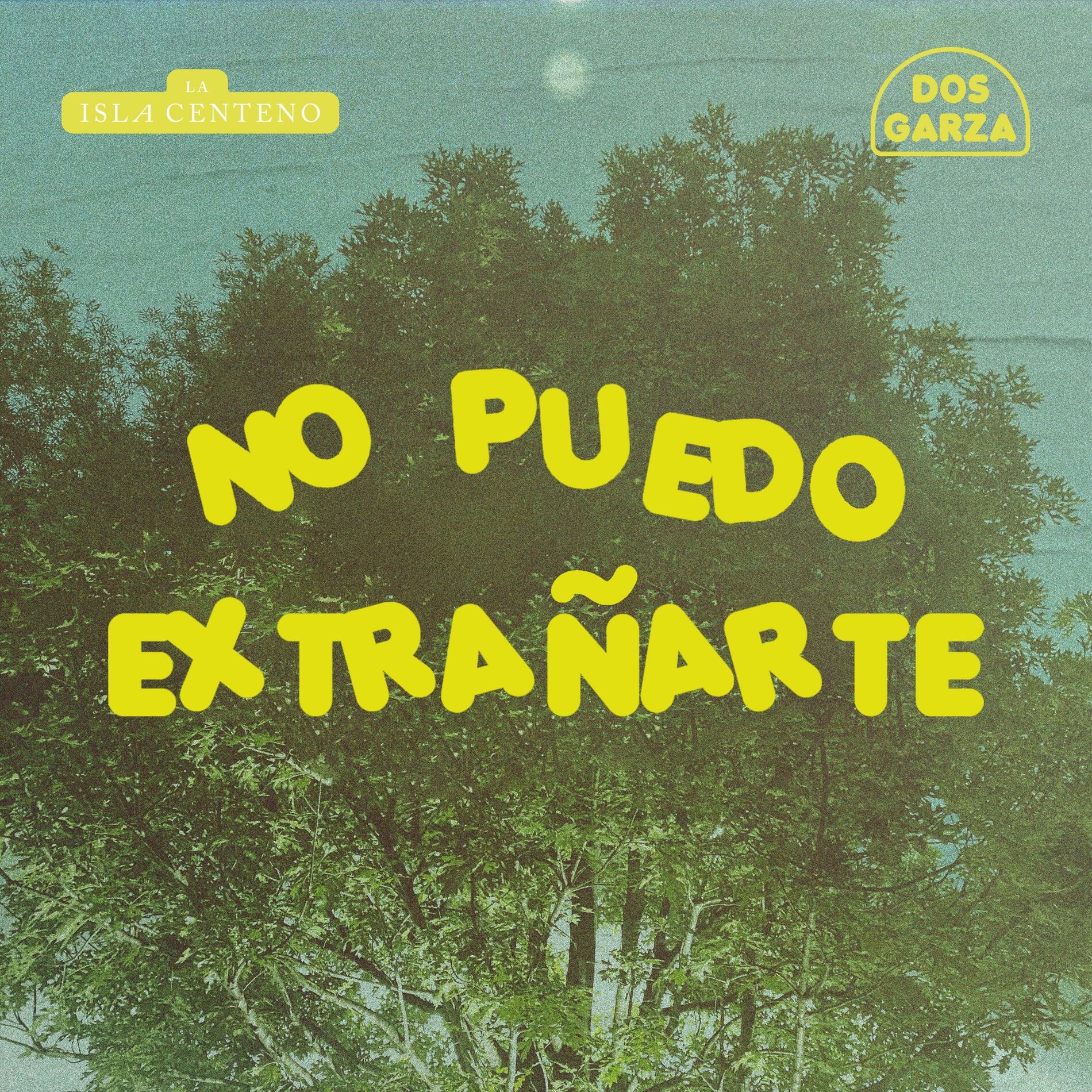 Album cover of No Puedo Extrañarte