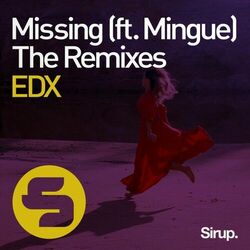 Cover of Missing (The Remixes)