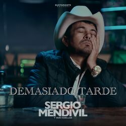 Cover of Demasiado Tarde