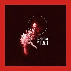 Cover of Baptize Me in T.N.T