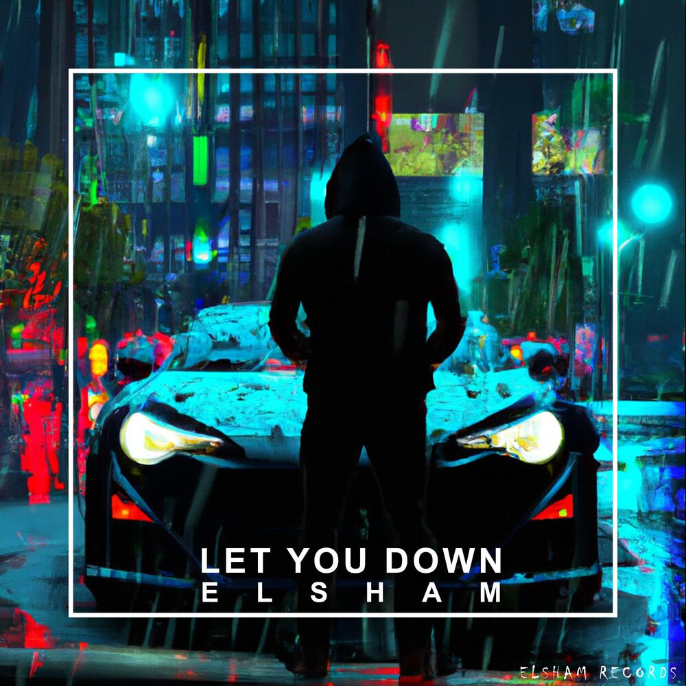 Picture of LET YOU DOWN