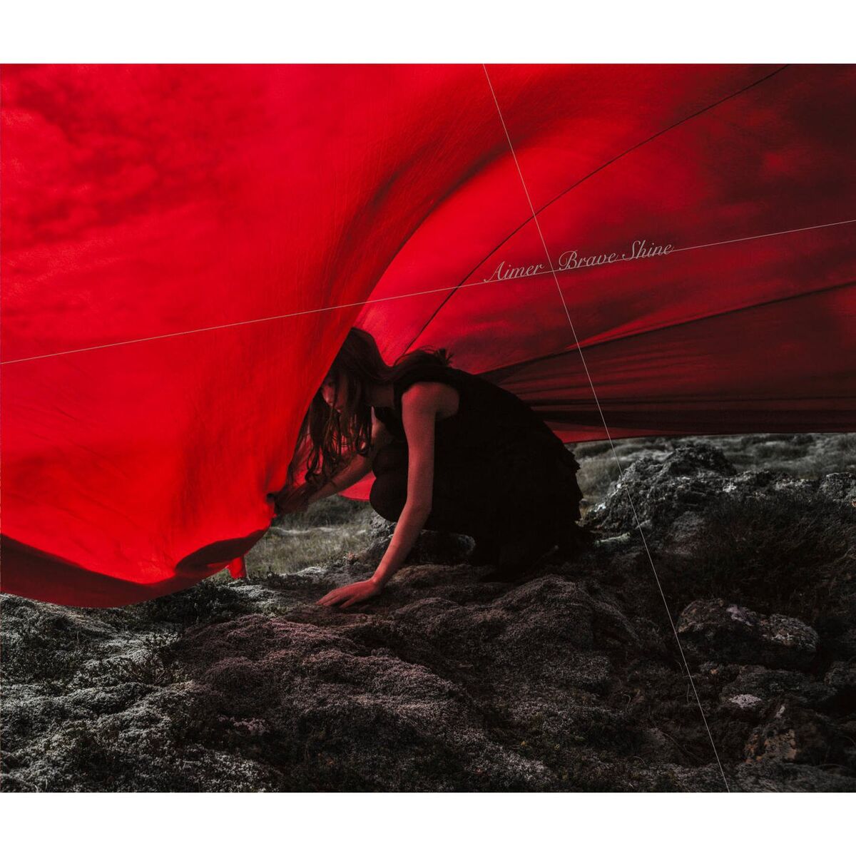 Album cover of Brave Shine