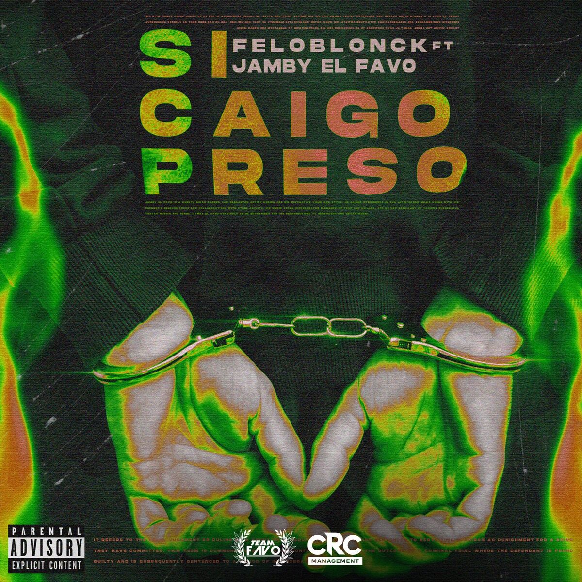 Album cover of Si Caigo Preso